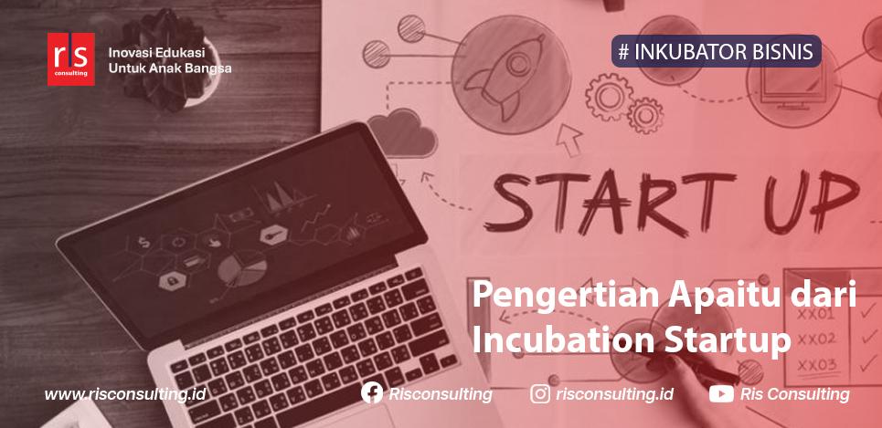 Pengertian Apaitu dari Incubation Startup