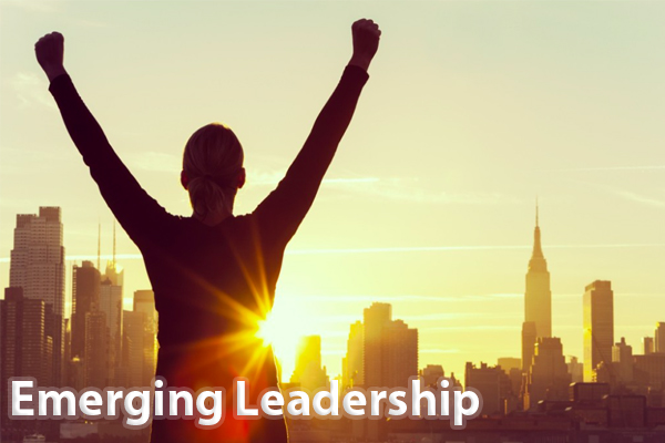 Emerging Leadership