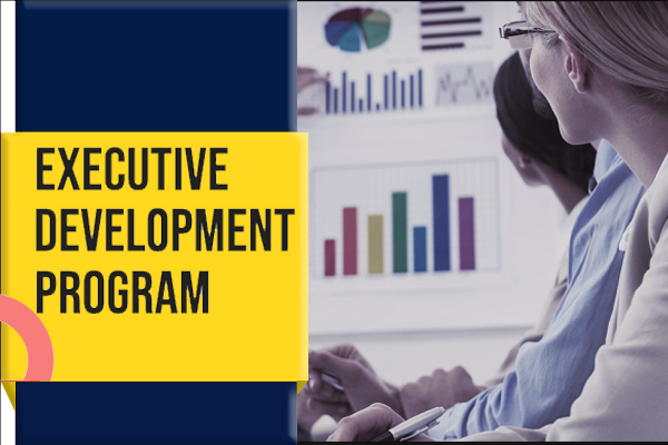 Executive Development Programm